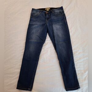 Democracy Mid-Rise AB Solution Skinny Jeans, Size 10 Stretch